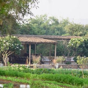 Suite Garden View